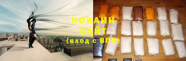 Альфа ПВП Верея