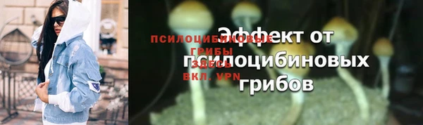 Альфа ПВП Верея
