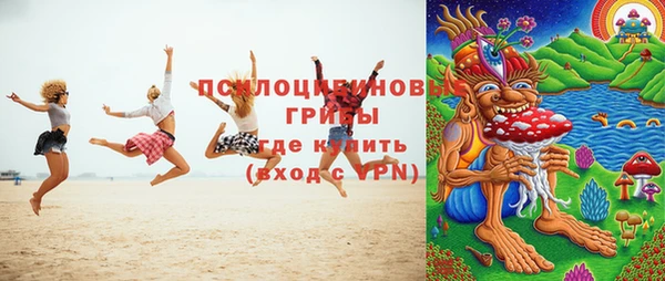 Альфа ПВП Верея