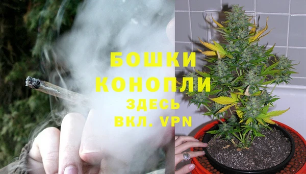 твердый Тында