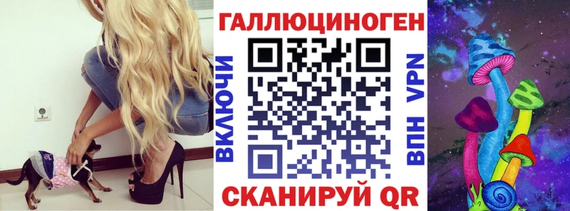 Галлюциногенные грибы Psilocybine cubensis  Кемерово 